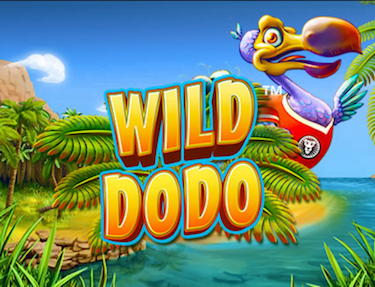 Wild Dodo Slots Intro