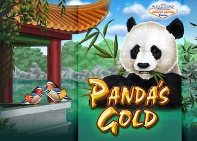 Pandas Gold Promo Image