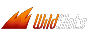 Wild Slots Large Logo