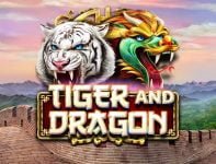 Tiger and Dragon Slots