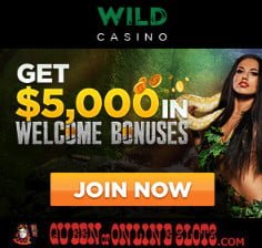 Wild Casino Welcome Bonus QOOS